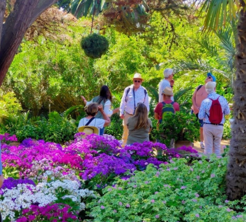_GARDEN INT non mem